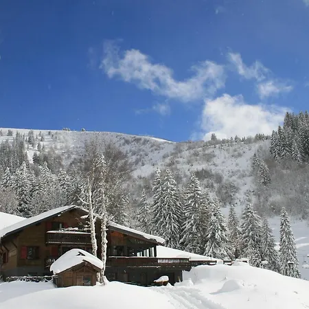 La Chanterelle - Mountain *