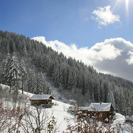La Chanterelle - Mountain