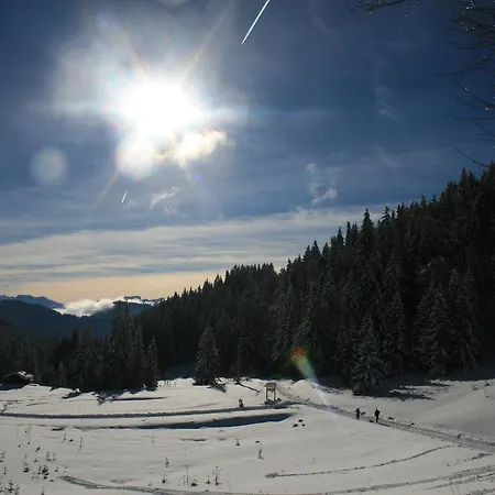 La Chanterelle - Mountain *